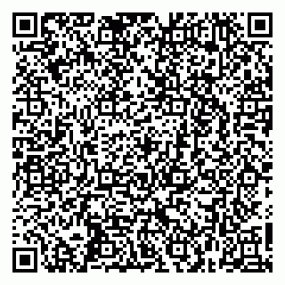 vCard 79268272395