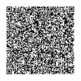 vCard 79270331133