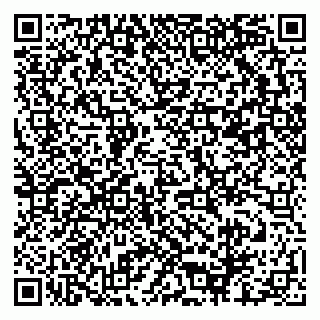vCard 79271000739