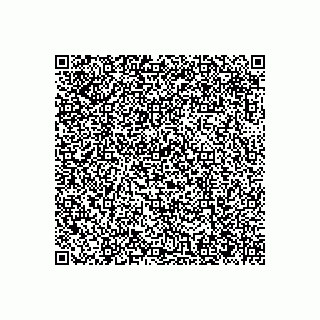 vCard 79272473313