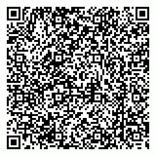 vCard 79274000399