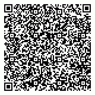 vCard 79274000539