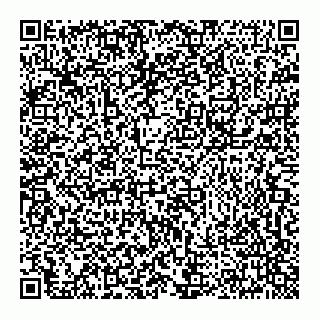 vCard 79274300860