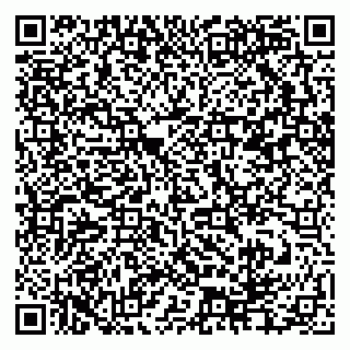 vCard 79276204038