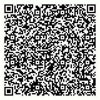 vCard 79276204087