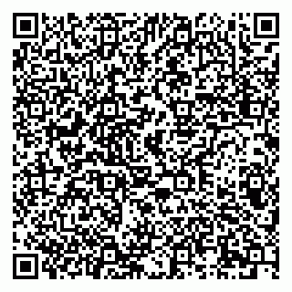 vCard 79276204131