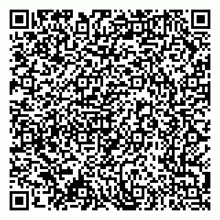 vCard 79276204147