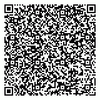vCard 79276204241