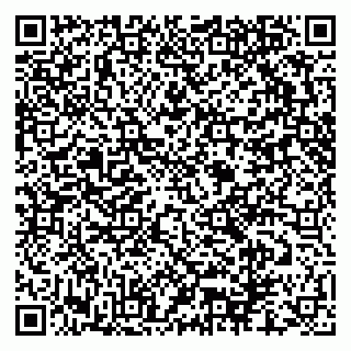 vCard 79276400131