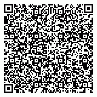 vCard 79276400317