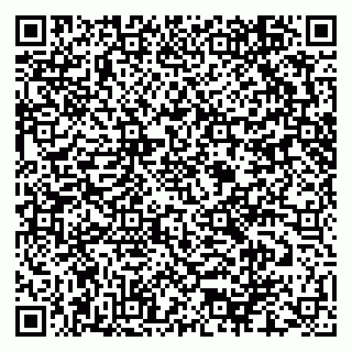 vCard 79276400318