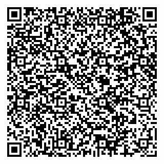 vCard 79276400387