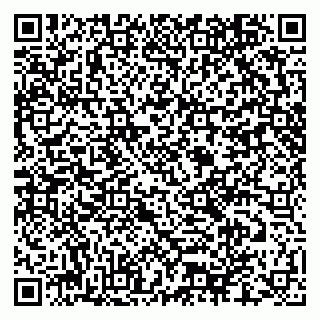 vCard 79276400389