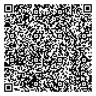 vCard 79276450317