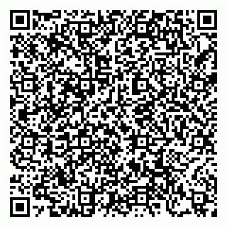 vCard 79276850387