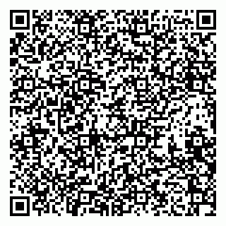 vCard 79276850399