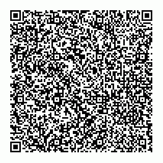 vCard 79280130217