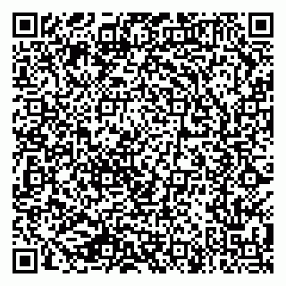 vCard 79282204033