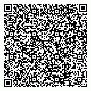 vCard 79282204131