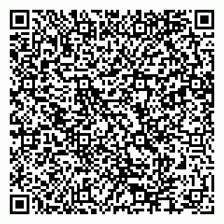 vCard 79282204181