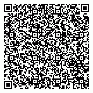 vCard 79282204183