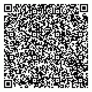 vCard 79282204297