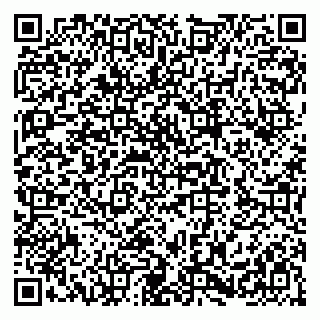 vCard 79282460297