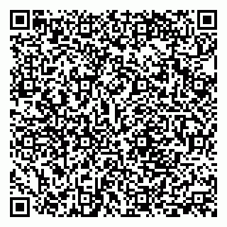 vCard 79282900011