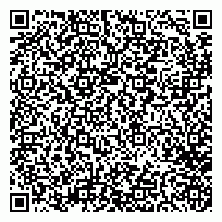 vCard 79282900013