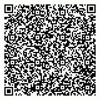 vCard 79282900021