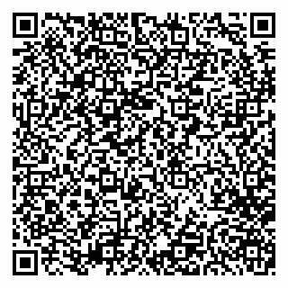 vCard 79282900039