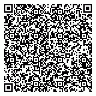 vCard 79282900105