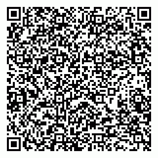 vCard 79282900209
