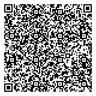 vCard 79282900301