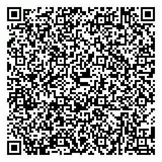 vCard 79284000173