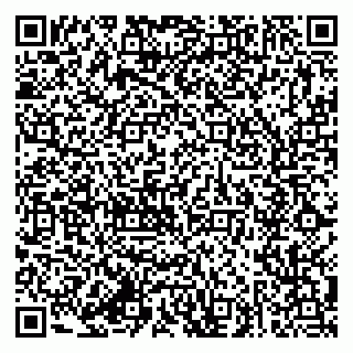 vCard 79285003739