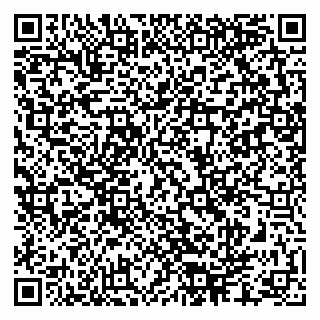 vCard 79286300001