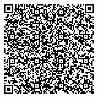 vCard 79286300011
