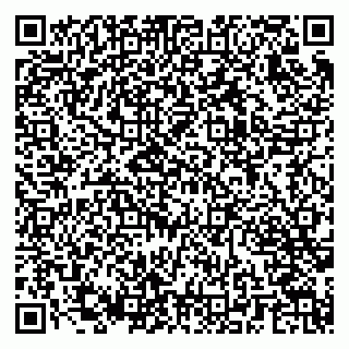vCard 79286300017