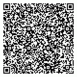 vCard 79286300021
