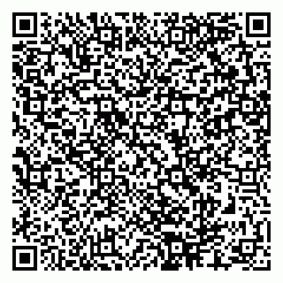 vCard 79286300029