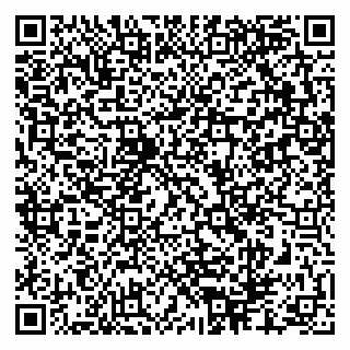 vCard 79286300031