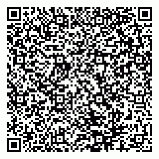 vCard 79286300035