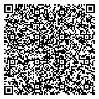 vCard 79286300053