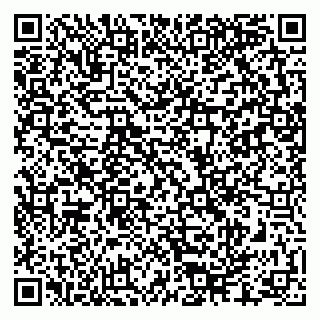 vCard 79286300087