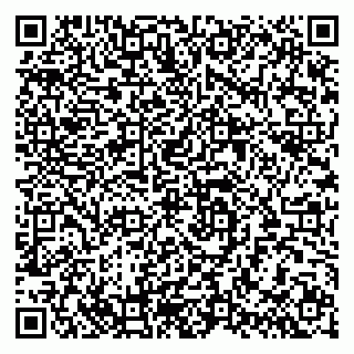 vCard 79286300113