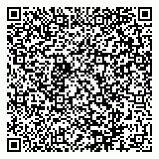 vCard 79286300133