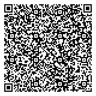 vCard 79286300174