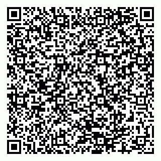 vCard 79286300204