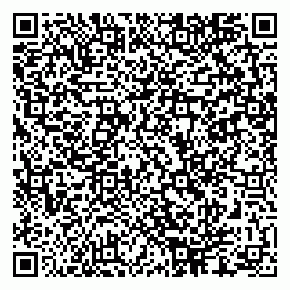 vCard 79286300305